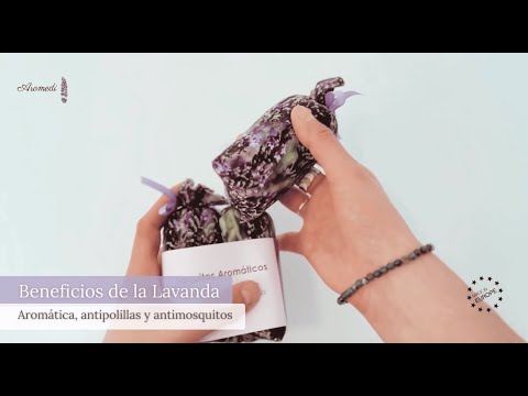 Saquitos de Lavanda para Armarios