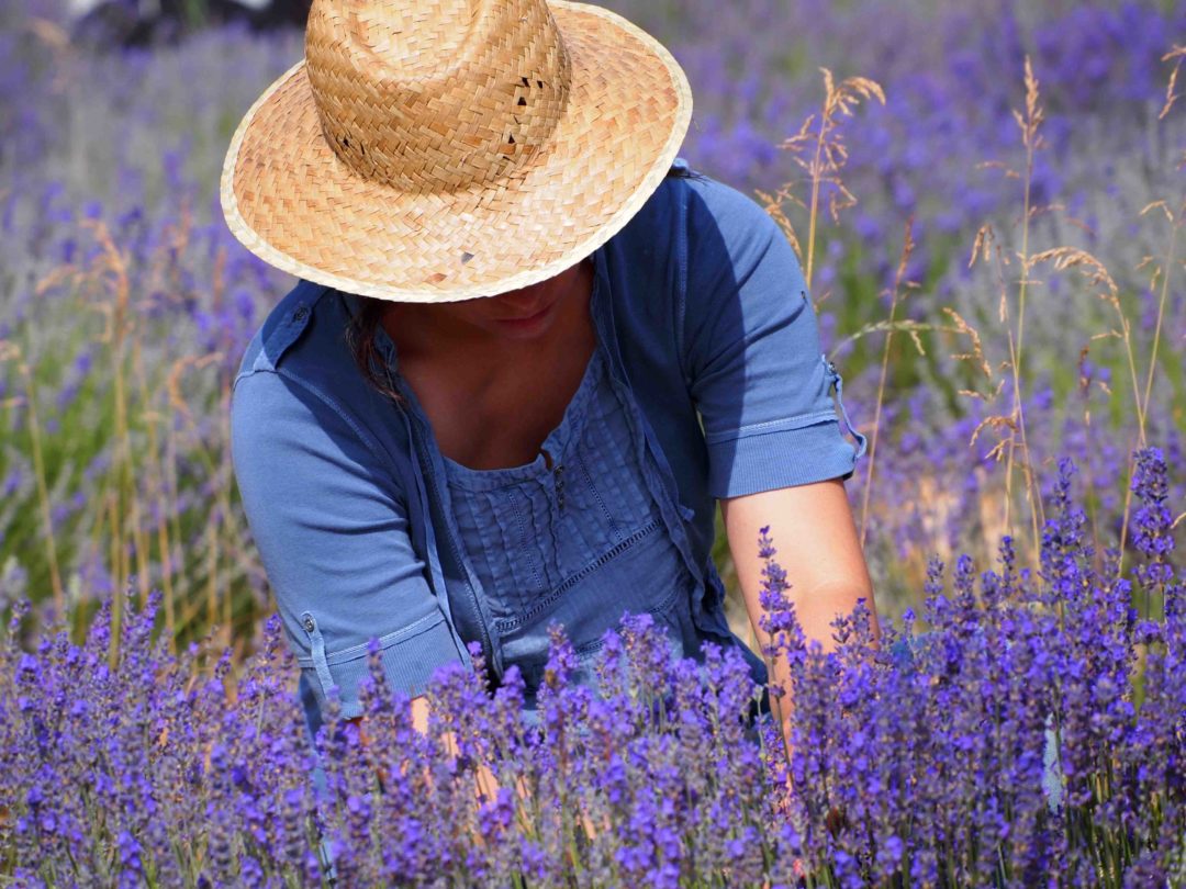 Aceite Esencial de Lavanda 30 ml