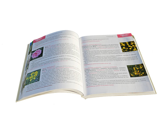 Guía del Recolector - Versión Catalán