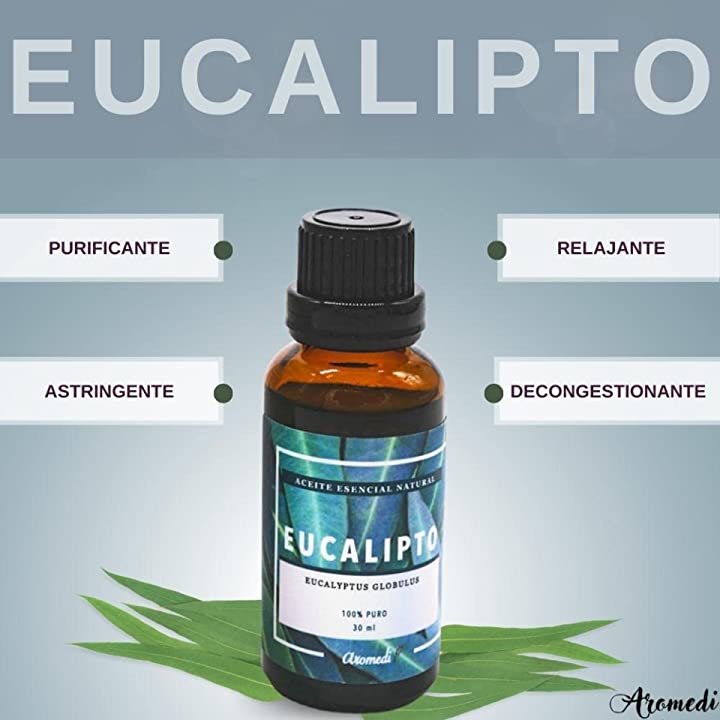 Aceite esencial de eucalipto - 11 ml – Consumo Cuidado