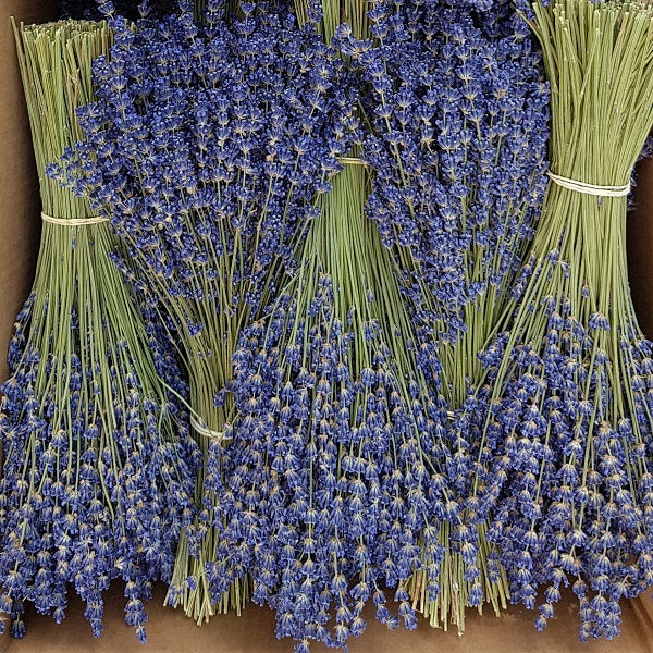 Ramillete de Lavanda