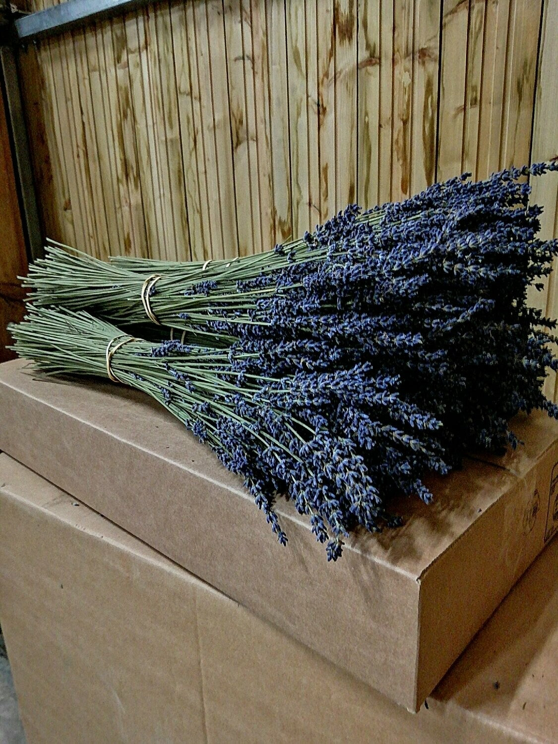 Ramillete de Lavanda