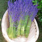 Ramillete de Lavanda